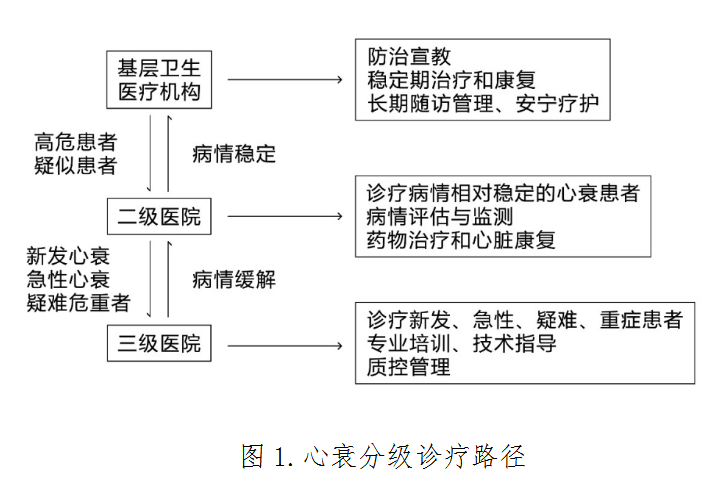 心力衰竭分級診療服務技術方案